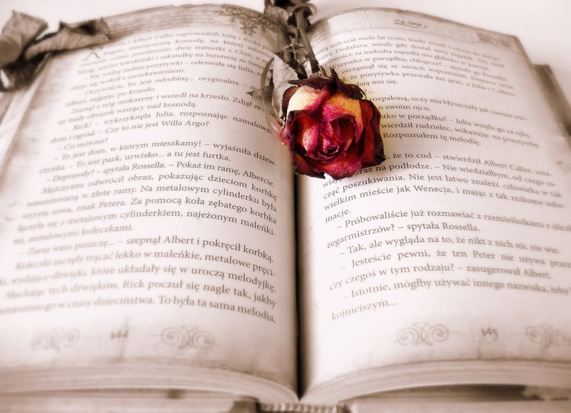 Book Recommendations